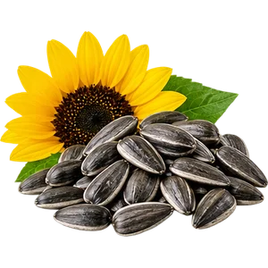 Tiamina (vitamina B1)